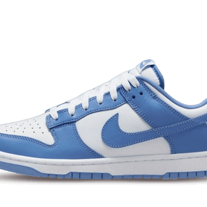 Nike Dunk Low Polar Blue