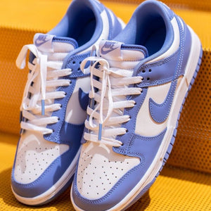 Nike Dunk Low Polar Blue